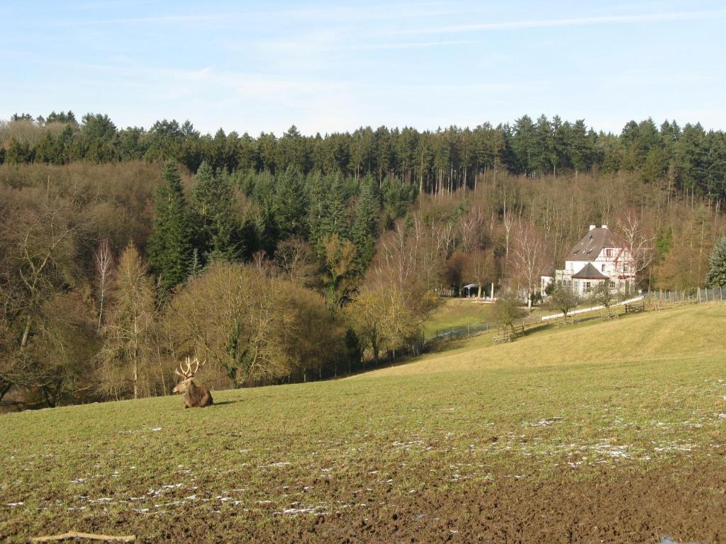 Waldhotel Forsthaus Remstecken Koblenz  Exterior photo